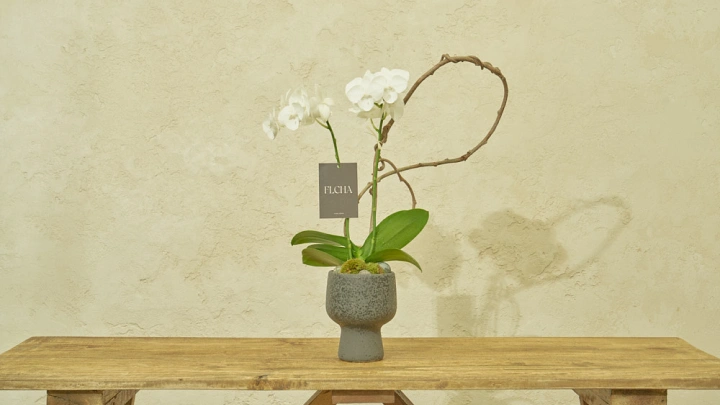 curriculum-flowerdesigner-chaseonbin-section04-1.webp
