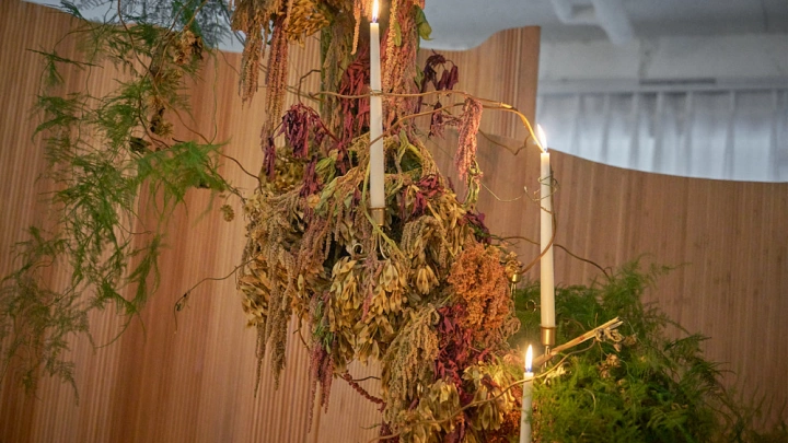 curriculum-flowerdesigner-chaseonbin-section05-3.webp