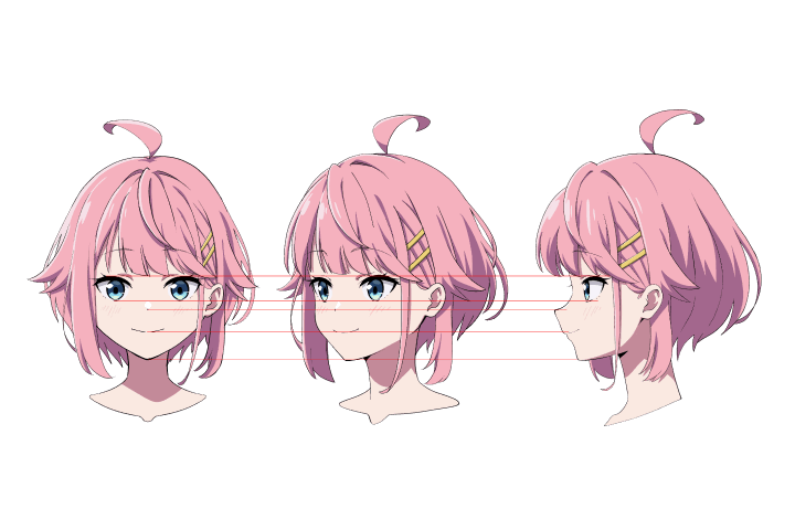 hide ポイント