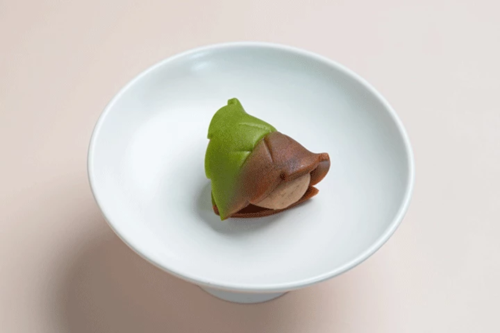 다민채 대표, 전서연