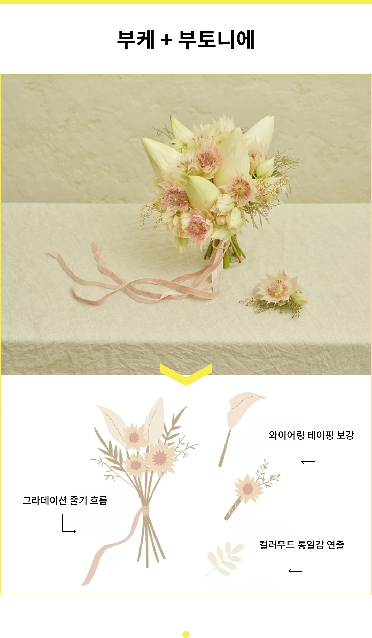 플차 대표, 차선빈 강의예제