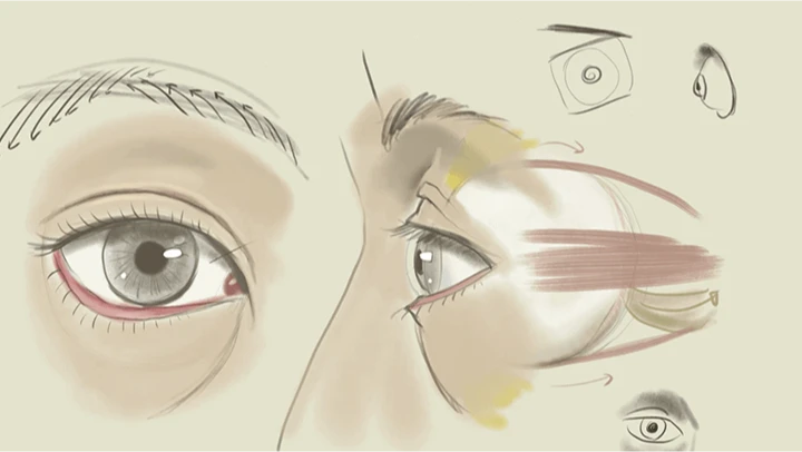 curriculum_illustrator_seokjunghyun_09.webp