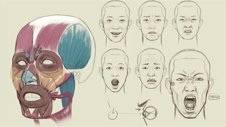 curriculum_illustrator_seokjunghyun_13.webp