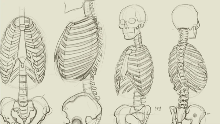 curriculum_illustrator_seokjunghyun_15.webp