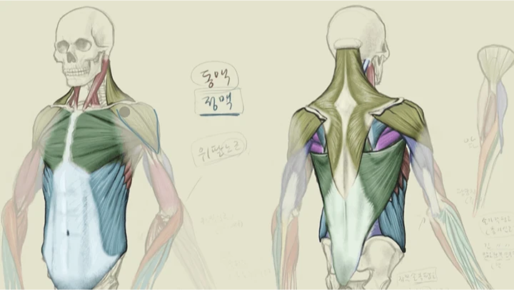 curriculum_illustrator_seokjunghyun_18.webp