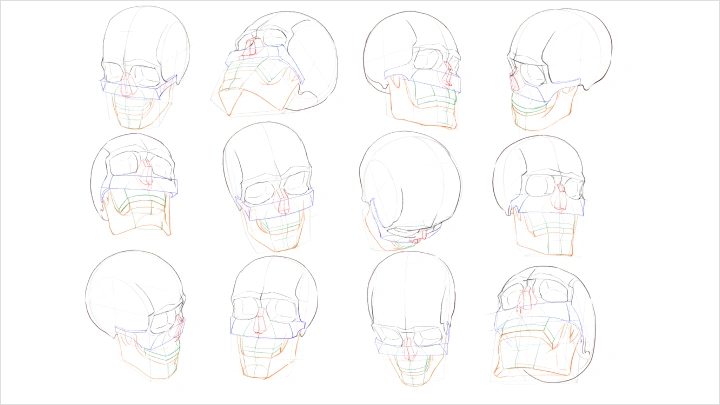 curriculum-freeanimator-hide2-jp-03-2.webp