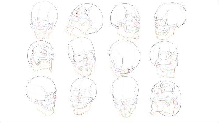 curriculum_freeanimator_hide2_jp_03_2.webp