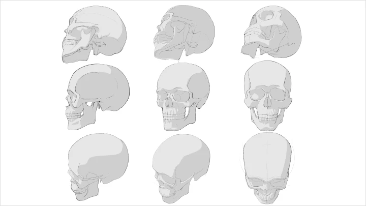 curriculum_freeanimator_hide2_jp_03_3.webp