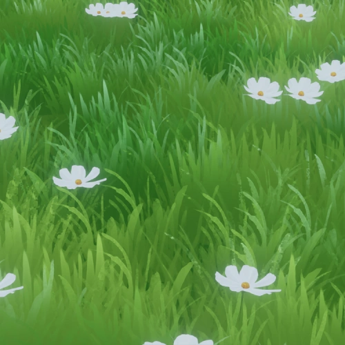 3D Artist, Yorsh exercises