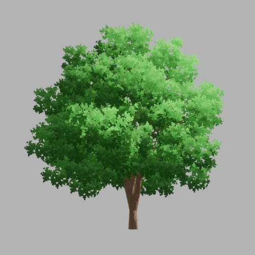 3D Artist, Yorsh exercises