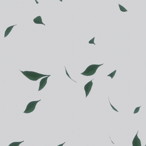 3D Artist, Yorsh exercises