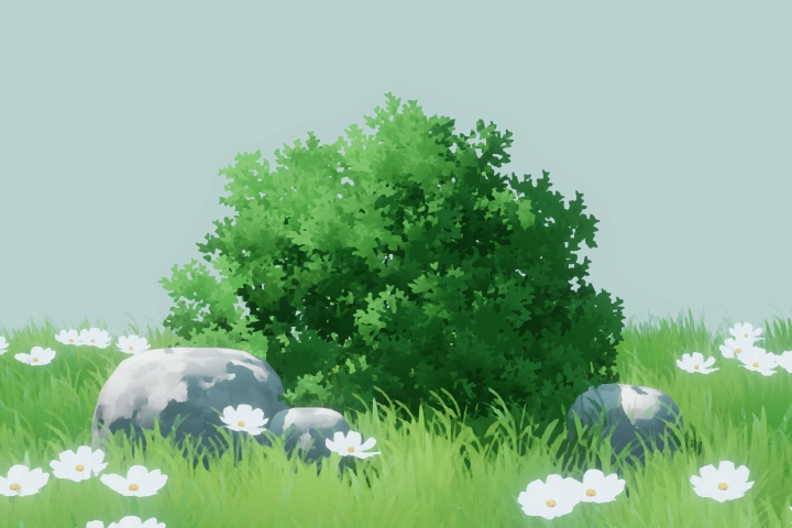 3D Artist, Yorsh point