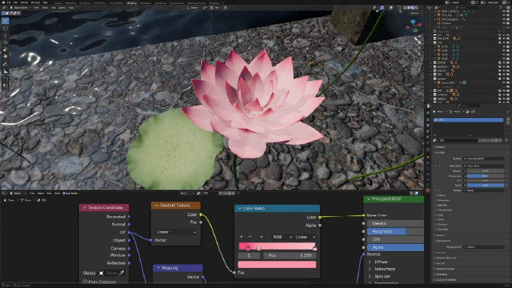 curriculum-blender-12ttalkkak-04-2.webp