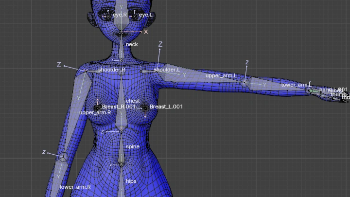 curriculum-3ddesign-chipimong-section11.webp