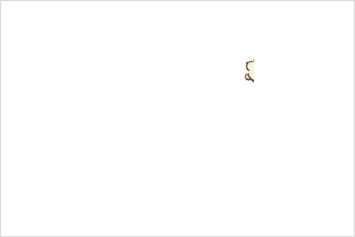 Coloso イラストレーター 穂の湯 例題
