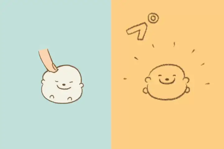 Coloso イラストレーター 穂の湯 講座内容