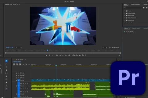 <p>映像制作と編集テクニック</p>