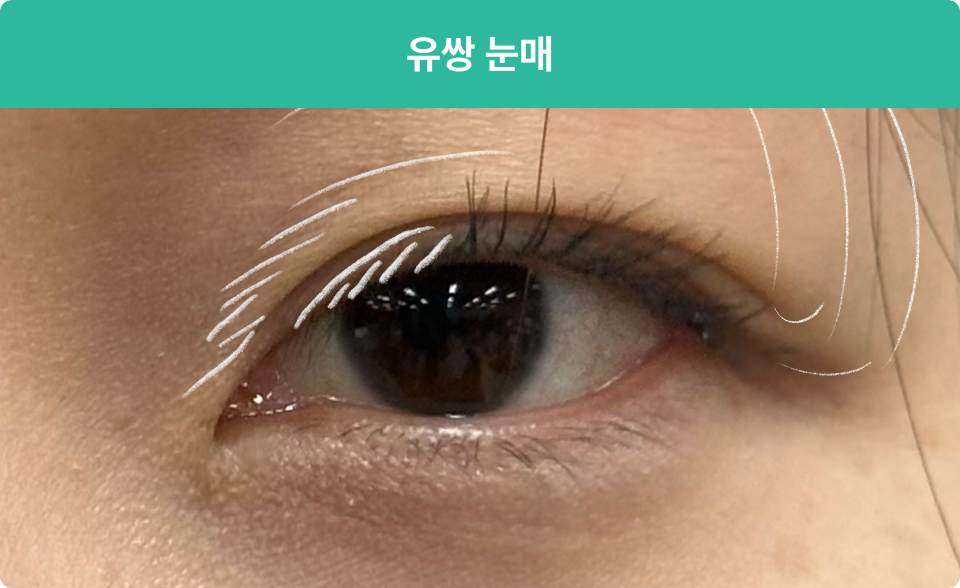 ImageSlide
