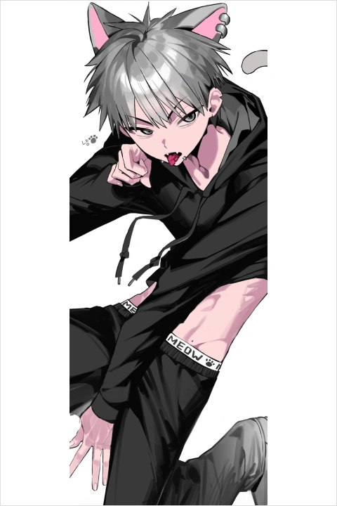 Illustrator, 2P