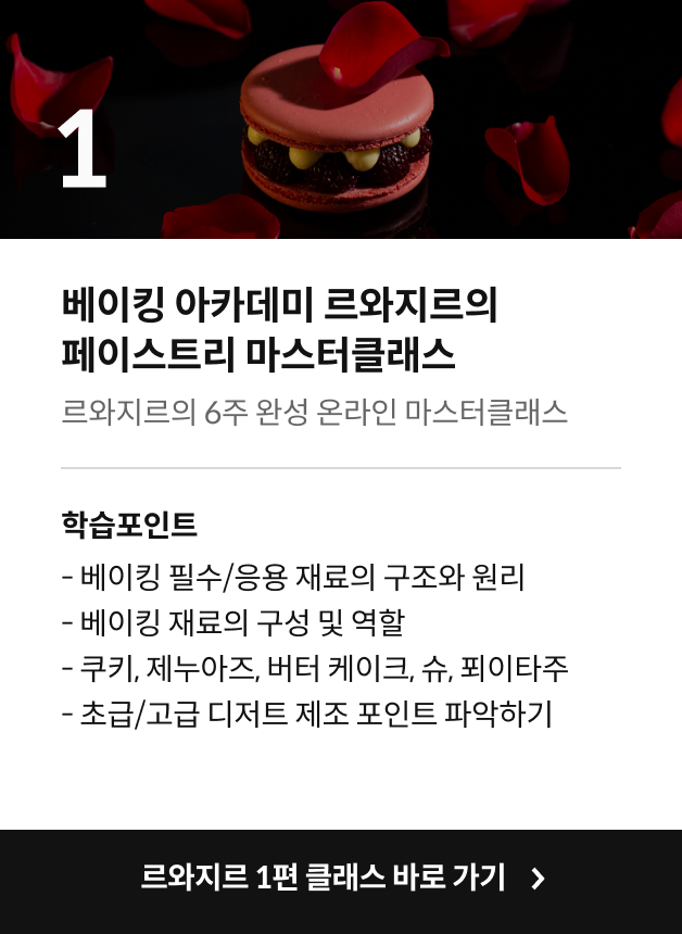 강의 시리즈