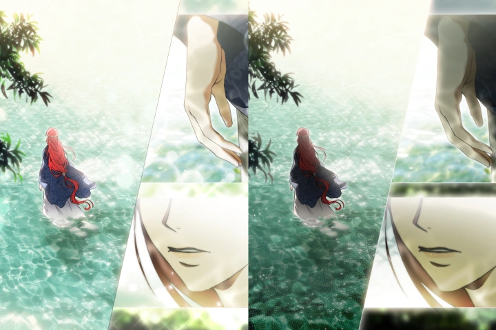Illustrator, Ikki