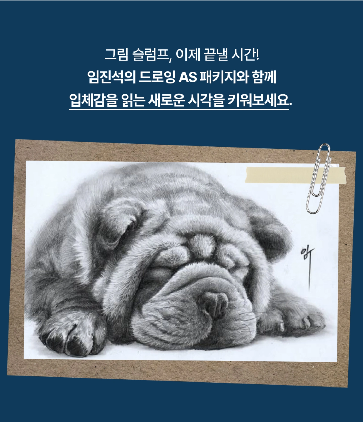 콜로소 드로잉 임진석