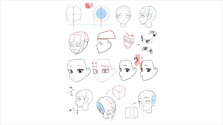 curriculum-illustrator-midori-zh-section02-4.webp
