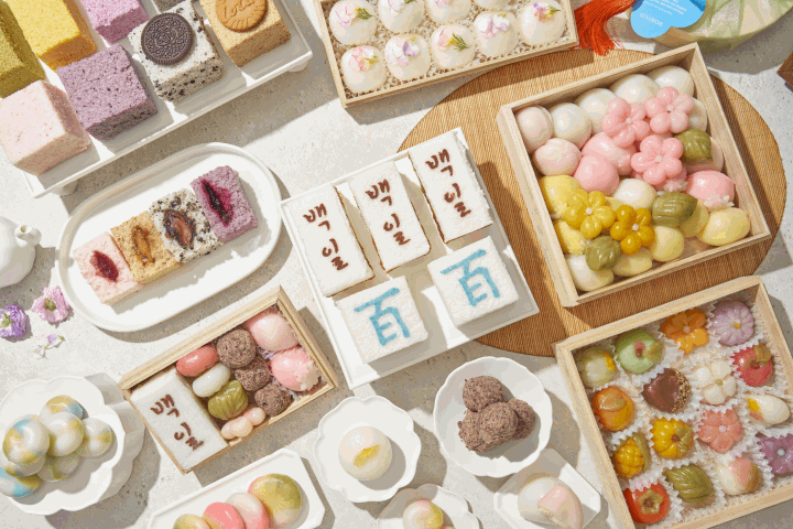 라이스투미츄 대표, 최시은