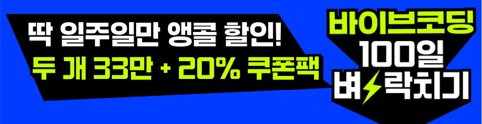 바이브코딩 100일 벼락치기