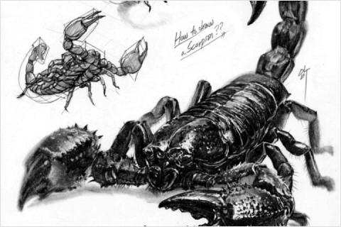 Illustrator, Jinseok Lim
