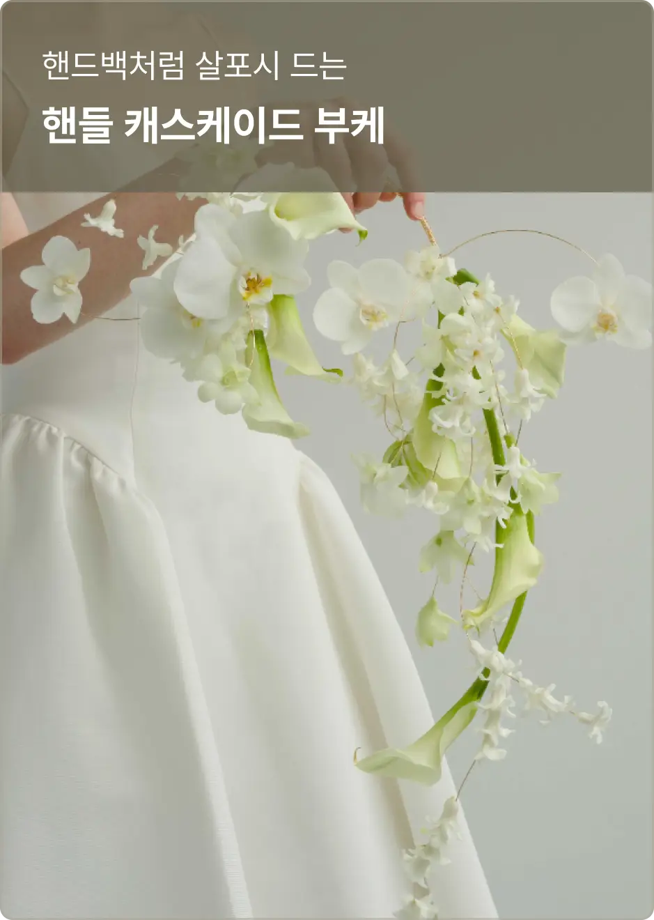 ImageSlide<span style="color:#77692F;"> <b>학습 포인트</b> </span>