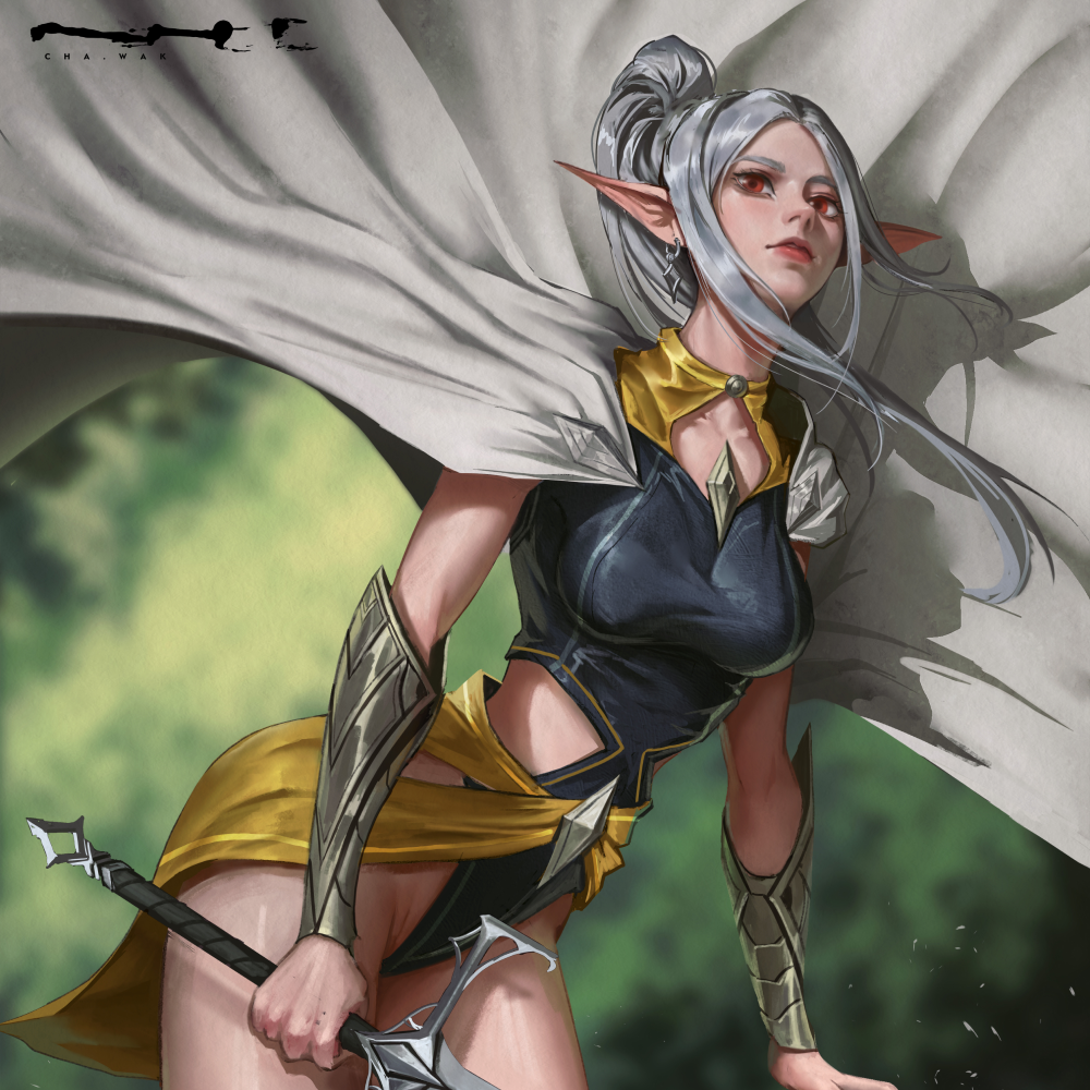 Illustrator, Chawak