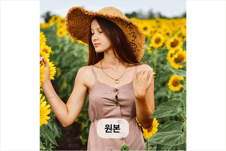 직군명 연사명 강의예제