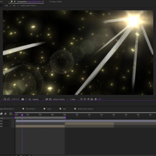 <p><strong>Final Touches &amp; Visual Effects</strong></p>