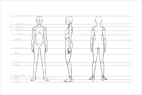 Illustrator, Elie Exercise