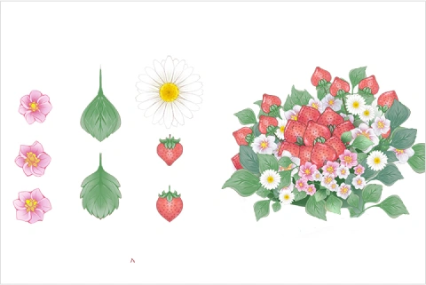 Illustrator, Elie Exercise