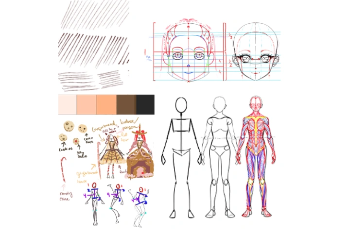 Illustrator, Elie