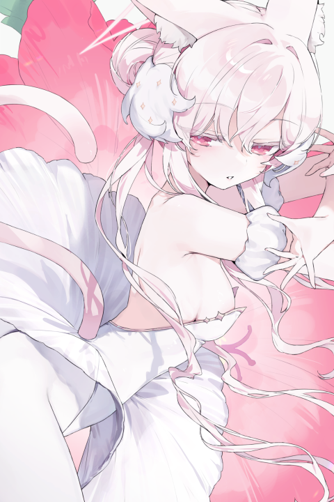 Illustrator, Mehong