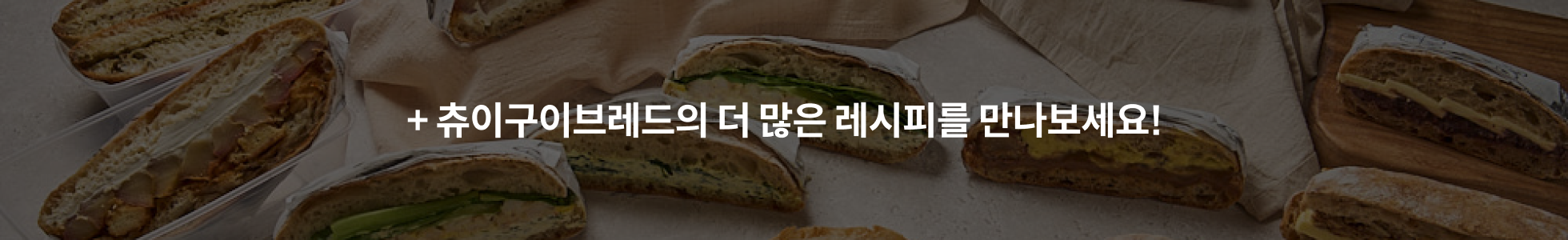 포트폴리오 더보기