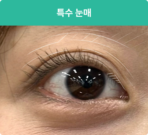 ImageSlide