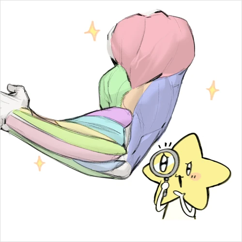 <p><strong>Study Tips for Continuous Growth in Figure Drawing</strong></p>