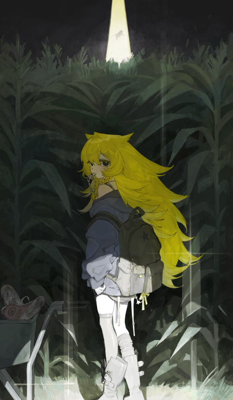 Illustrator, kiri