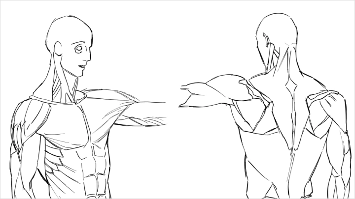 curriculum-illustrator-dogho-section05-1.webp