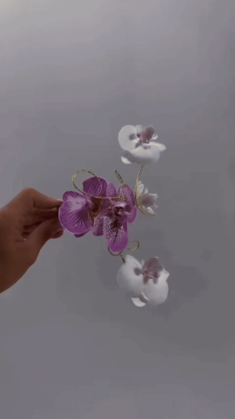 ImageSlide