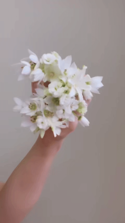 ImageSlide