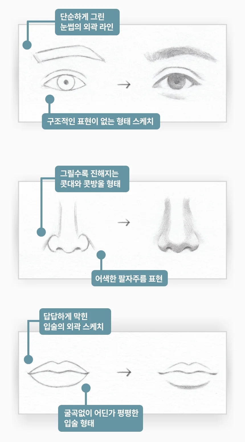 일러스트레이터, 고고일러스트