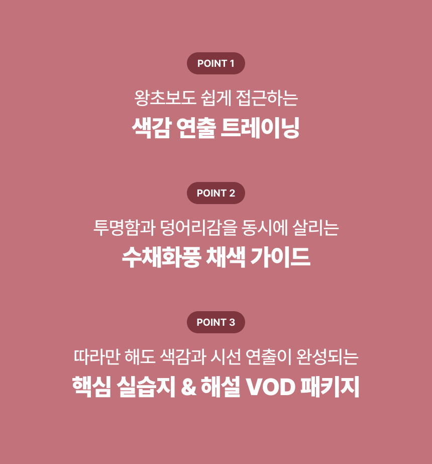 일러스트레이터, 홍찌