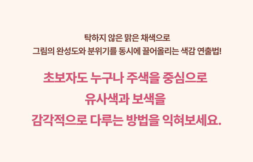 일러스트레이터, 홍찌