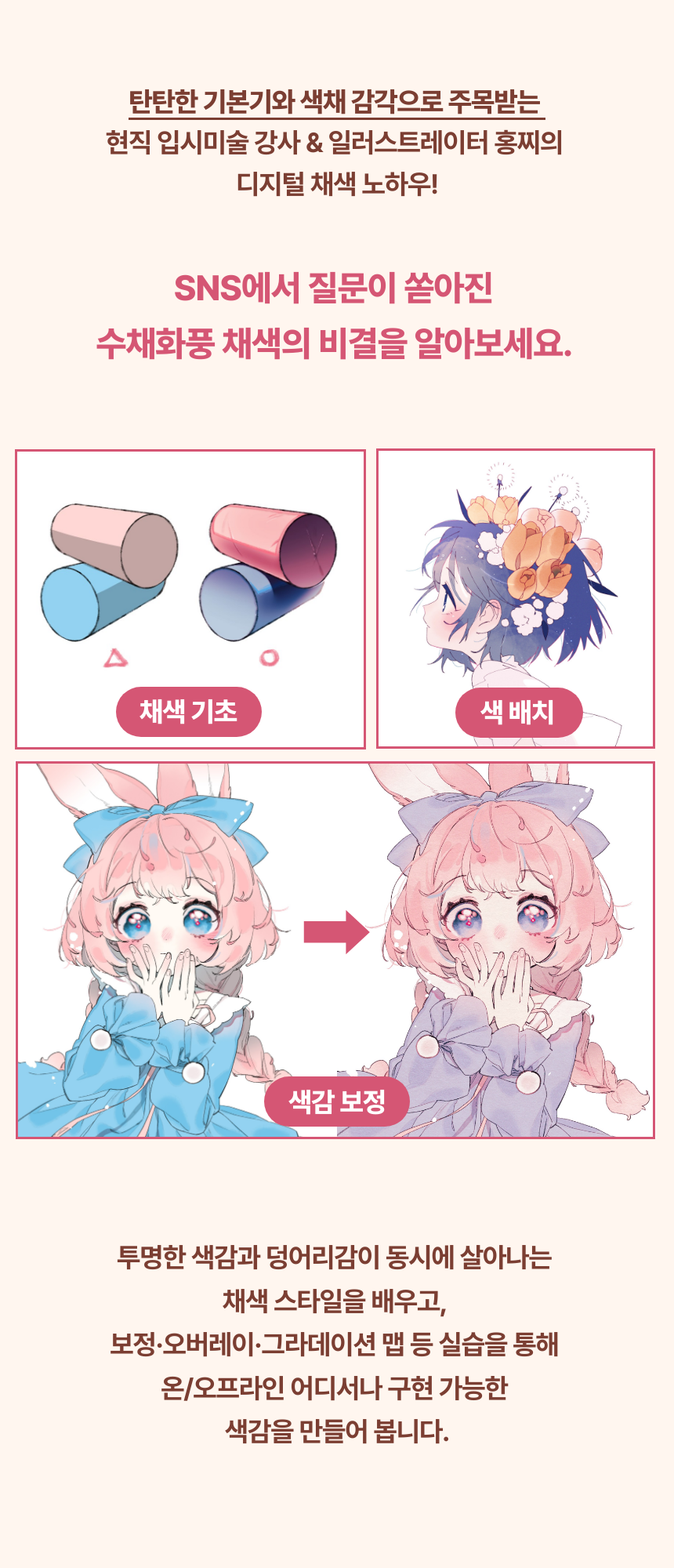 일러스트레이터, 홍찌