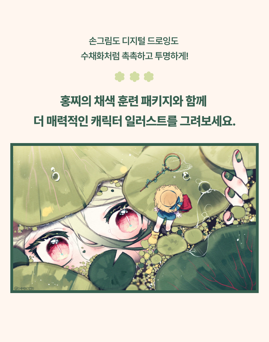 일러스트레이터, 홍찌